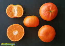 Tango mandarin citrus.jpg
