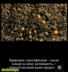 Screenshot_20250219_191636_Chrome.jpg