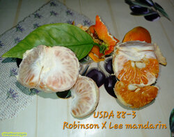 IMG_20261017_203616_327.JPG