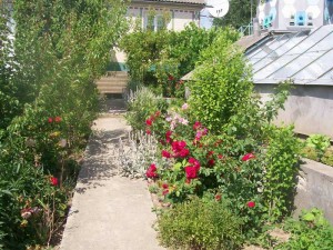 100_2710.JPG