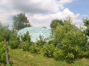 100_2718.JPG