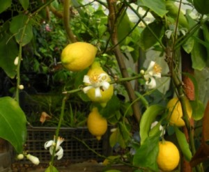 DSCN8708.JPG