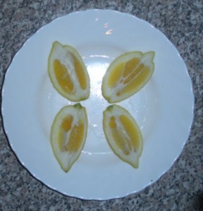 DSCN8651.JPG
