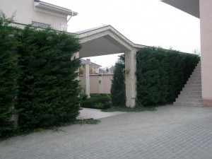 PB250345.JPG