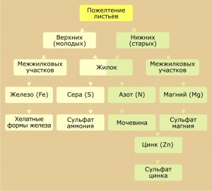 post-1082-0-91581300-1433405406.jpg