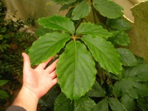 DSCN5637.JPG