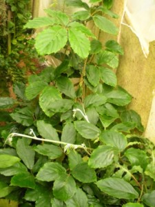 DSCN5640.JPG