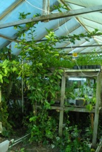 DSCN9317.JPG