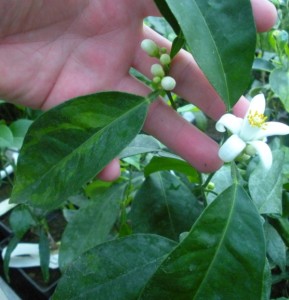 DSCN8180.JPG