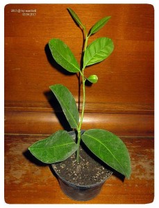 01.jpg (97.45 КБ) 9360 просмотров 01.jpg