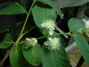 DSCN9311.JPG