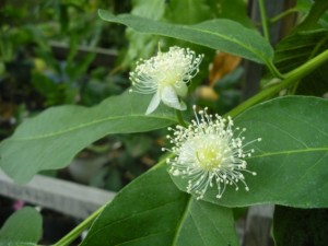 DSCN9255.JPG