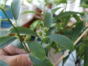 P722755-5.jpg