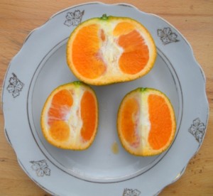 DSCN8968.JPG
