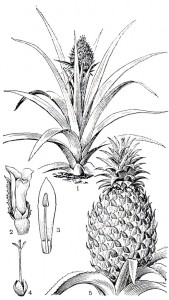 000218.jpg (19.87 КБ) 30925 просмотров 000218.jpg