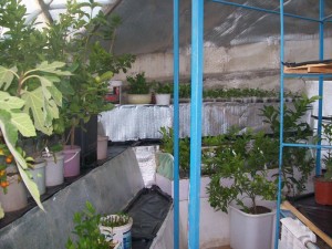 100_2804.JPG