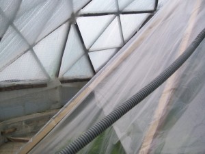 100_2900.JPG