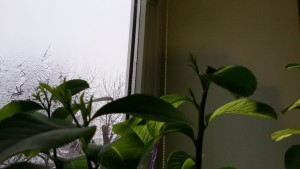 20160107_153528.jpg