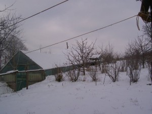100_2962.JPG