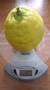 IMAG1710.jpg
