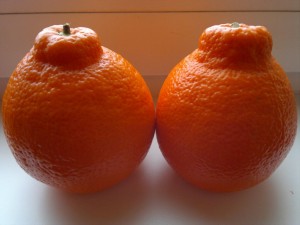 2016-01-31-325.jpg