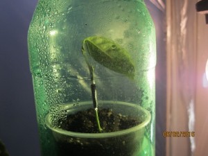 IMG_4138.JPG (53.68 КБ) 10764 просмотра IMG_4138.JPG