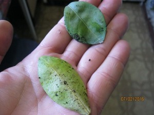 IMG_4140.JPG
