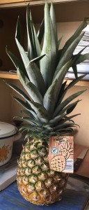 Pineapple01.JPG (129.88 КБ) 6922 просмотра Pineapple01.JPG