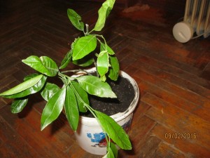 IMG_4148.JPG