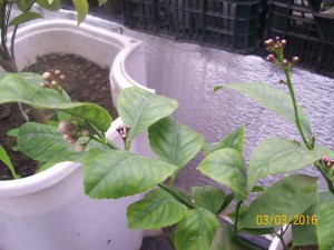 100_3112.JPG