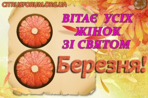 otkritka_01_08.jpg