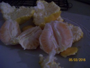 100_3128.JPG