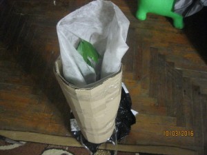 IMG_4224.jpg