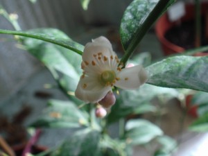 DSC05902.JPG