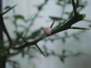 DSC05913.JPG