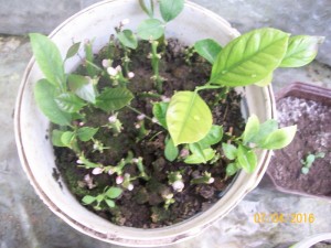 100_3215.JPG