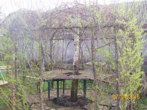 100_3264.JPG