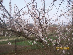 100_3268.JPG