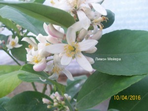 100_3273.JPG