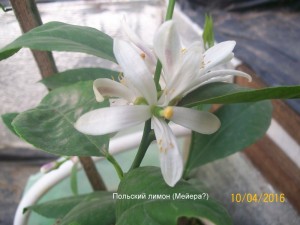 100_3274.JPG
