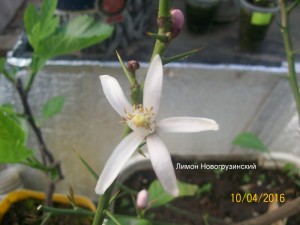 100_3276.JPG