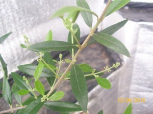 100_3283.JPG