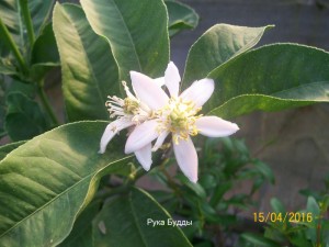 100_3306.JPG