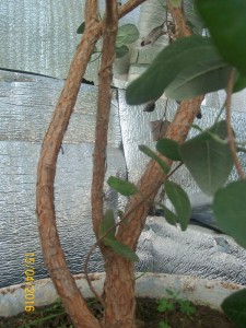 100_3292.JPG