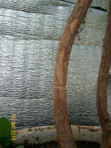 100_3299.JPG