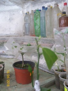 100_3314.JPG