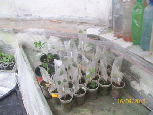 100_3323.JPG