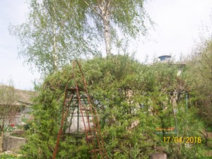 100_3345.JPG