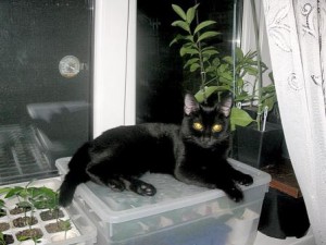 IMG_1569.jpg (21.15 КБ) 26103 просмотра IMG_1569.jpg