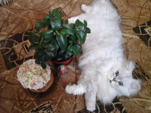 20160506_091209.jpg